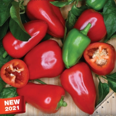 Semena: Paprika k rychlení RELA