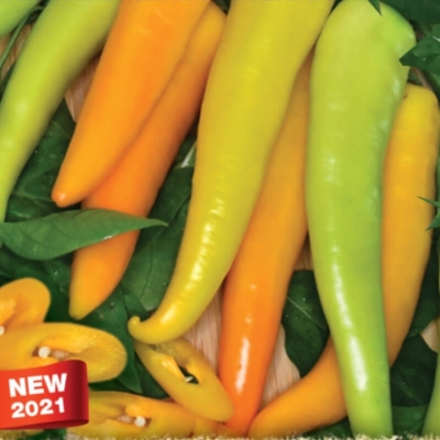 Semena: Paprika kozí roh pálivá HARVEY