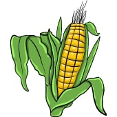 Plodová zelenina